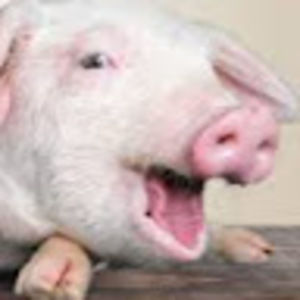 Meet your Posher, Brielle